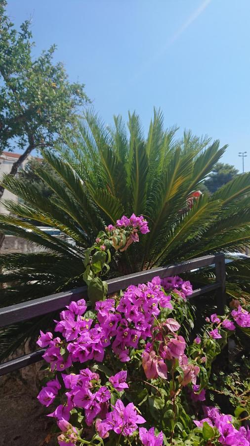 Apartments Rose Baška Voda Εξωτερικό φωτογραφία
